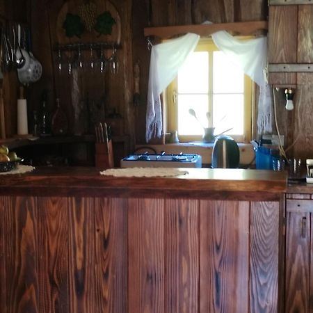 Vacation House Spiritus Flumine Netretic Luaran gambar